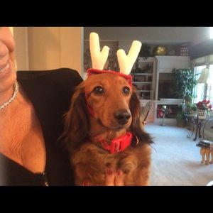 Meet your Posher, Beth